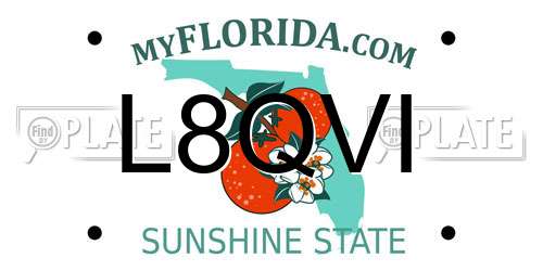 L8QVI Florida License Plate