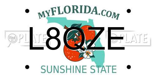 L8QZE Florida License Plate