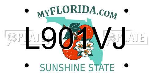 L901VJ Florida License Plate