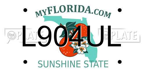 L904UL Florida License Plate