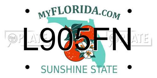 L905FN Florida License Plate