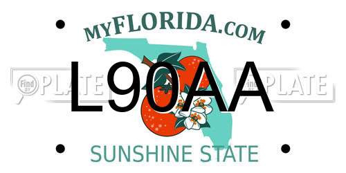 L90AA Florida License Plate