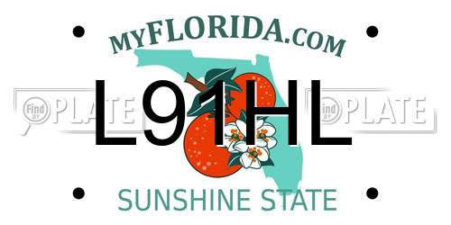 L91HL Florida License Plate
