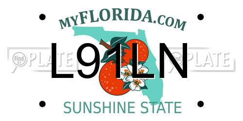 L91LN Florida License Plate