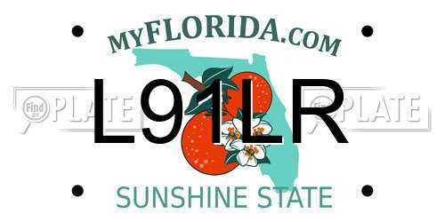 L91LR Florida License Plate