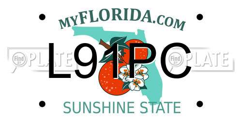 L91PC Florida License Plate