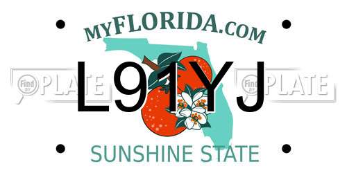 L91YJ Florida License Plate