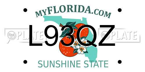 L93QZ Florida License Plate