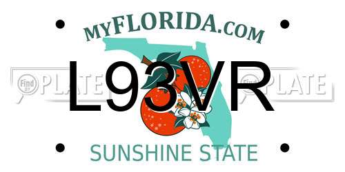 L93VR Florida License Plate