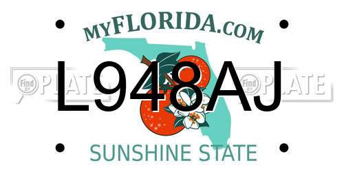 L948AJ Florida License Plate