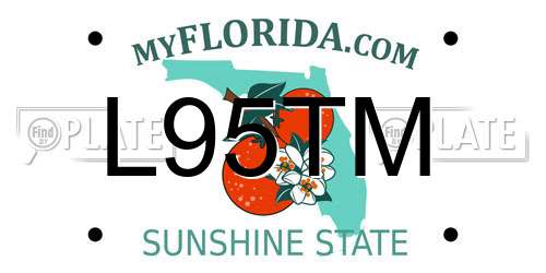 L95TM Florida License Plate