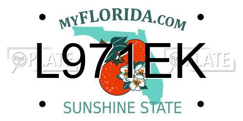 L971EK Florida License Plate