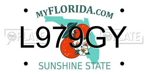 L979GY Florida License Plate