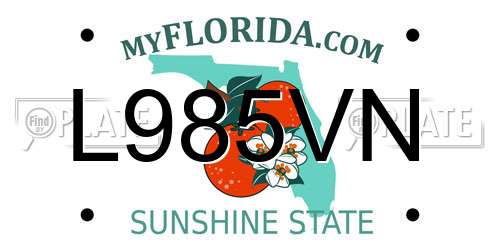 L985VN Florida License Plate