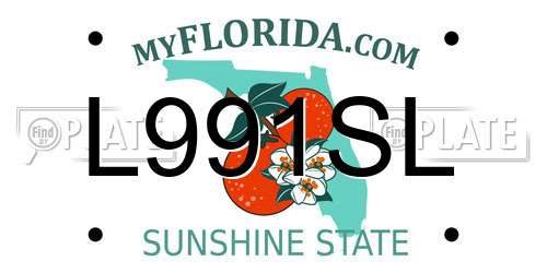 L991SL Florida License Plate