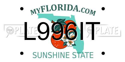 L996IT Florida License Plate
