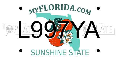 L997YA Florida License Plate