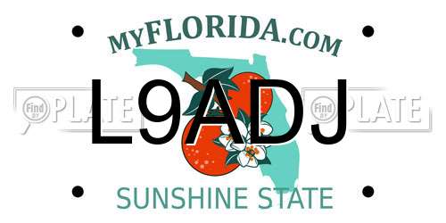 L9ADJ Florida License Plate
