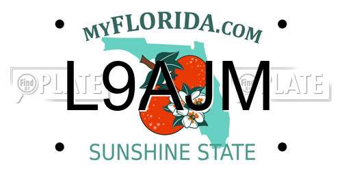 L9AJM Florida License Plate