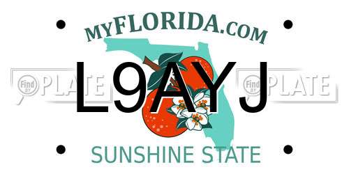 L9AYJ Florida License Plate