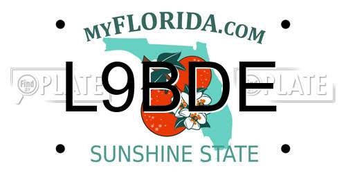 L9BDE Florida License Plate