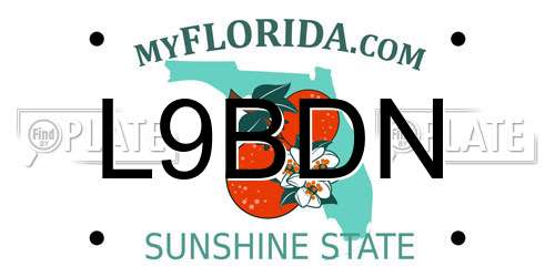 L9BDN Florida License Plate