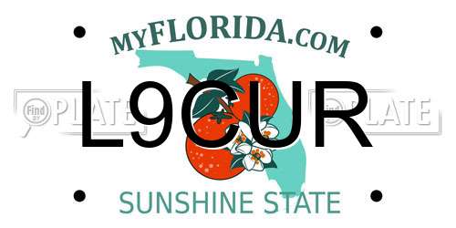 L9CUR Florida License Plate
