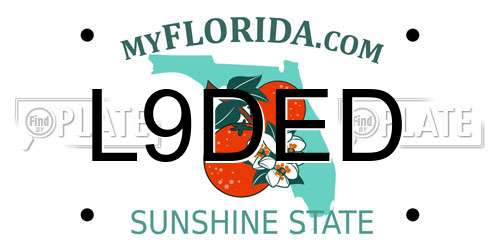 L9DED Florida License Plate