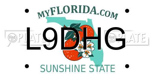L9DHG Florida License Plate