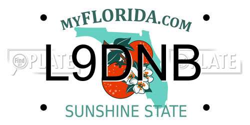 L9DNB Florida License Plate