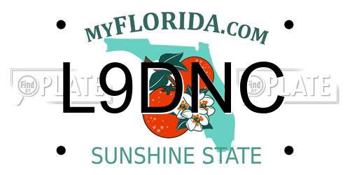 L9DNC Florida License Plate