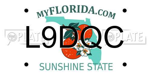 L9DQC Florida License Plate