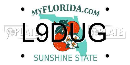 L9DUG Florida License Plate