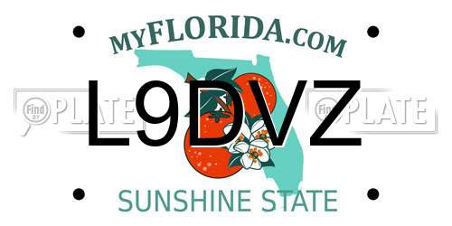 L9DVZ Florida License Plate