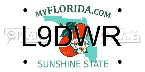 L9DWR Florida License Plate