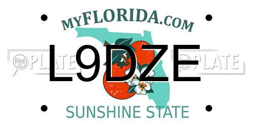L9DZE Florida License Plate