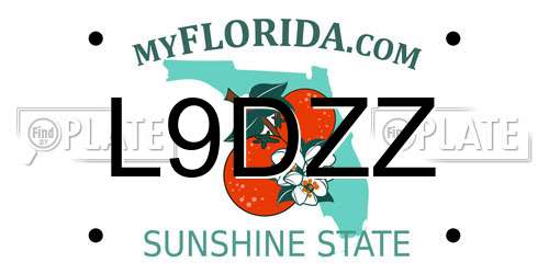 L9DZZ Florida License Plate
