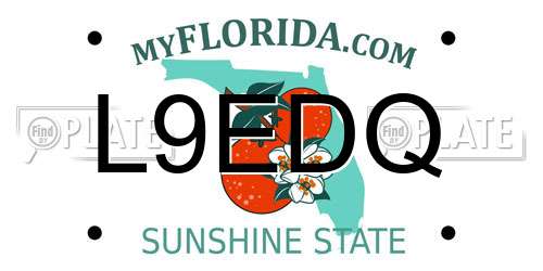 L9EDQ Florida License Plate