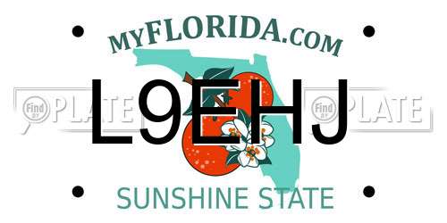 L9EHJ Florida License Plate