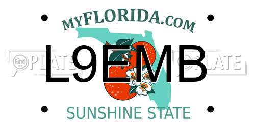 L9EMB Florida License Plate