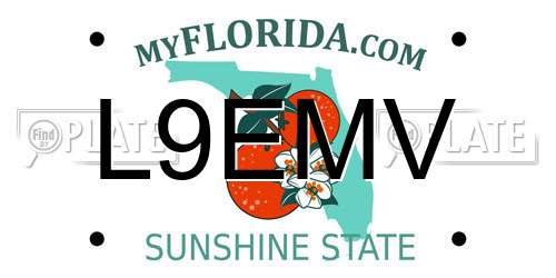 L9EMV Florida License Plate