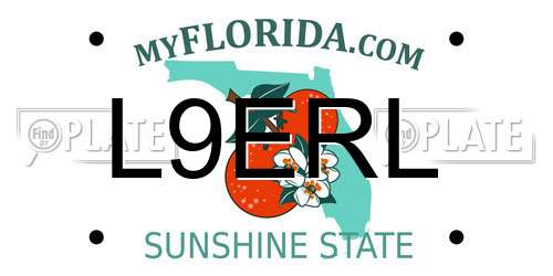 L9ERL Florida License Plate