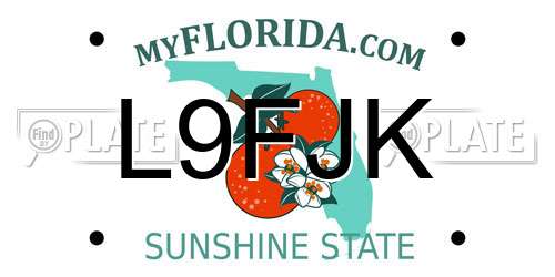 L9FJK Florida License Plate