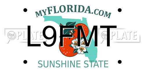 L9FMT Florida License Plate