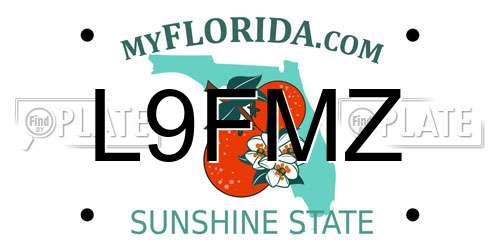 L9FMZ Florida License Plate