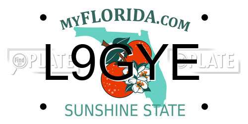 L9GYE Florida License Plate