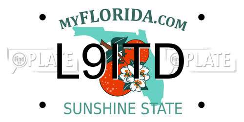 L9ITD Florida License Plate