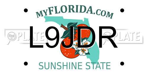 L9JDR Florida License Plate