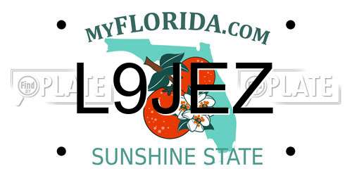 L9JEZ Florida License Plate