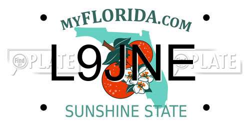 L9JNE Florida License Plate
